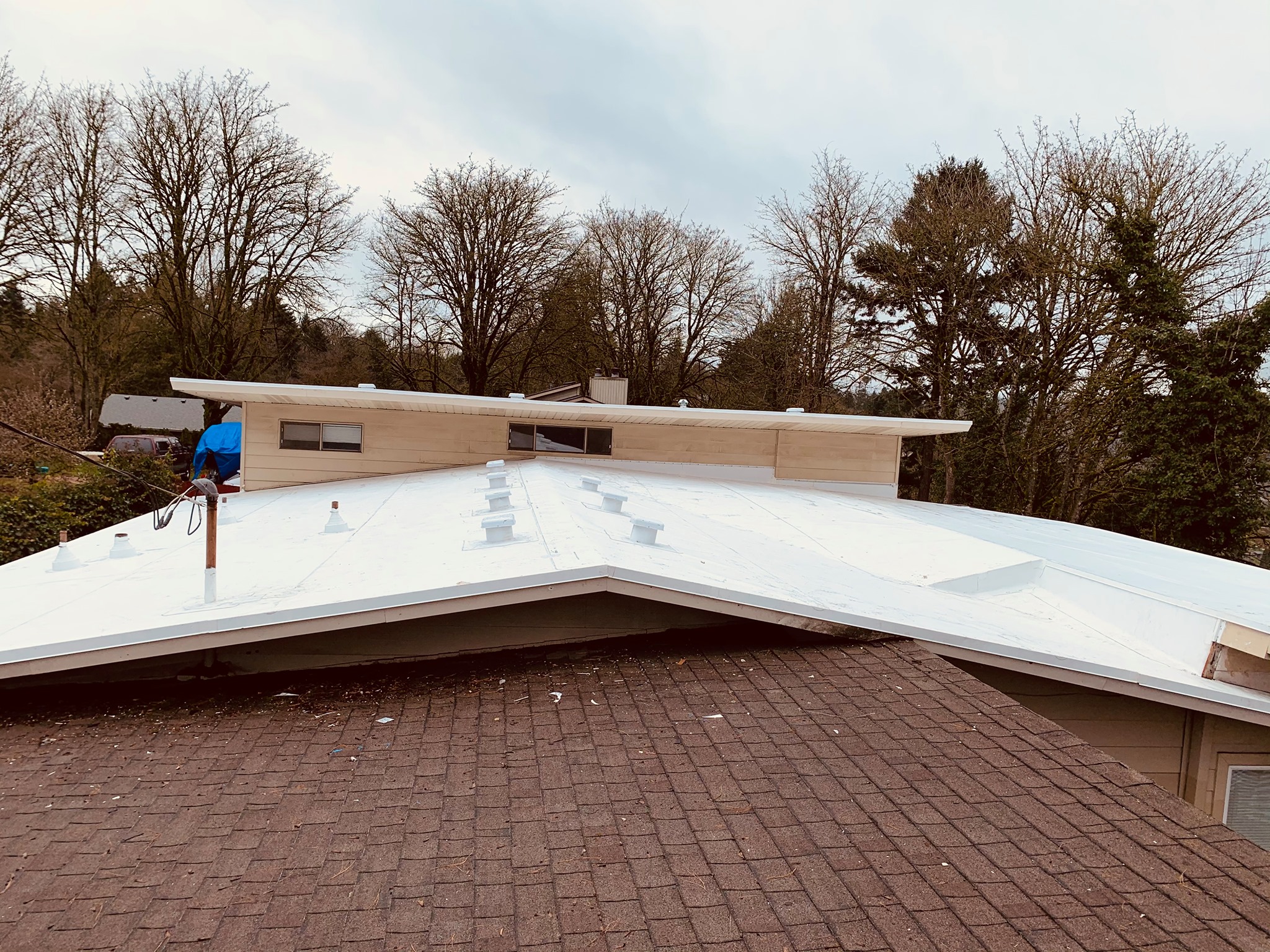 An individual works on a large flat roof surrounded by trees, with a chimney visible on the left.